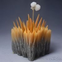 萌白酱资深编辑林珏的工作照，留着中等长度发型的青年，正在双屏电脑前整理创作者资讯数据，桌上放着手办和咖啡杯，氛围轻松专业